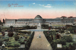 BELGIQUE - Bruxelles - Jardin Botanique - Colorisé - Carte Postale Ancienne - Bossen, Parken, Tuinen