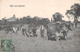 CPA AGRICULTURE / LE LABOUR - Otros & Sin Clasificación