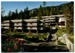 Feriendorf Fiesch - Cenrtre De Vacances - Fiesch