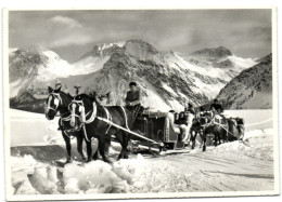 Arosa - Schlittenpartie Am Arlenwald Mit Schiesshorn Und Maienfelderfurka - Maienfeld