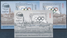 ** 1995/1a+1b+F1 100 éves A Magyar Olimpiai Bizottság 3 Db-os Emlékív Garnitúra (11.800) / Souvenir Sheet Collection Of  - Autres & Non Classés