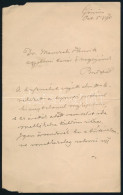 1890 Báró Hadadi Wesselényi Miklós (1845-1916) Földbirtokos, Politikus, Szilágy Vármegye Főispánja, Koronaőr, Wesselényi - Non Classés