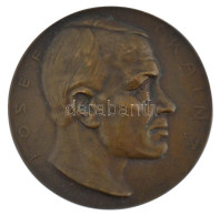 Ausztria 1910. "IOSEF KAINZ / 20. SEPT. 1910" Bronz Emlékérem. Szign.: Hofner (60mm) T:1-,2 Kis Ph. Austria 1910. "IOSEF - Zonder Classificatie