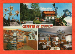 TIMAU - CASETTA IN CANADA -(Vieilles Voitures Citroën DS - Fiat  500 ) - Udine