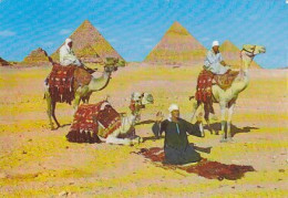 AK 171822 EGYPT - Giza - Arab Camelriders In Front Of The Pyramids - Pyramides