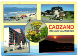 Cadzand - Zeeuws Vlaanderen - Cadzand