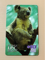 Mint USA UNITED STATES America Prepaid Telecard Phonecard, Compliments Of I.P.C. BELGIUM- Koala Bear, Set Of 1 Mint Card - Collections