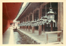 Photographie Originale JAPON NARA Kasuga - Asie