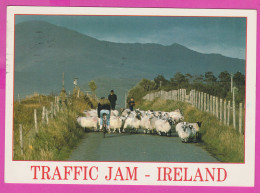 298314 / Traffic Jam - Ireland Eire , Velo Bike , Road Sheep Shepherds PC USED Cill Chainnigh  1991 - 32P Art Treasures - Collections & Lots