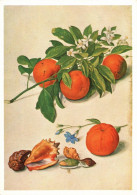 F5628 - TOP Jakob Walther Künstlerkarte - Orangenzweig Mit Blüten Und Früchten - Fabiano