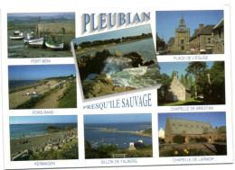 Pleubian Presqu'Ile Saubage - Pleubian