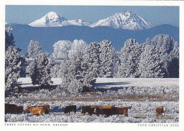 AK 172091 USA - Oregon - Three Sisters Bei Bend - Andere & Zonder Classificatie