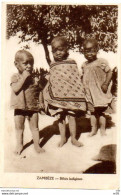 AFRIQUE - ZAMBIE - ZAMBEZE - Bébés Indigenes - - Zambie