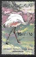 Libya - MNH 1982 : Greater Flamingo  -  Phoenicopterus Roseus - Fenicotteri