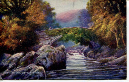 TUCKS OILETTE  - 1723 - PICTURESQUE NORTH WALES - LLEDR BRIDGE - Caernarvonshire