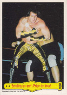 Carte (123789) #41 WWF Brutus Beefcake Prise De Bras / Bending An Arm! - Trading Cards