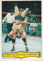 Carte (123790) #42 WWF Paul ‘’Mr Wonderful’’ Orndorff  Pret Pour Le Marteau Pilon / Ready For A Pile Driver - Trading Cards