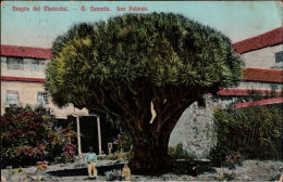 ! 1912 Ansichtskarte Aus Las Palmas, Gran Canaria, Plymouth Paquebot Stempel - Gran Canaria