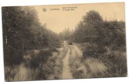 Lanklaer - Door De Bosschen - Dilsen-Stokkem