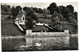 Küssnacht Am Rigi - Gedächtniskapelle Königin Astrid Von Belgien - 28-08-1935 - Küssnacht