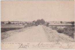 Nijverdal - Dorpsgezicht - 1905 - Nijverdal