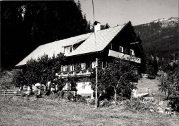 G5831 - Bad Mitterndorf - Pension - Verlag Helmut Kain - Bad Mitterndorf