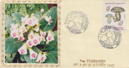 Enveloppe    FRANCE   REUNION     Floralies   De   L'  Océan   Indien    1987 - Storia Postale