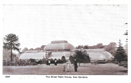 Richmond The Great Palm House Kew Gardens  Unsent - Otros & Sin Clasificación