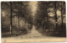 Notre-Dame-au-Bois - Drève Des Capucins - Overijse