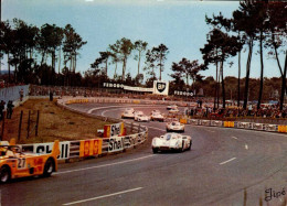 LE MANS    ( SARTHE )   CIRCUIT DES 24 HEURES  LES " S " DU TERTRE ROUGE   ( PUBLICITE SHELL, FERODO , BP  ) - Le Mans