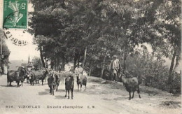 78 . VIROFLAY . Un Coin Champêtre . Chêvres . - Viroflay