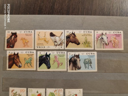 1972	Cuba	Horses (F49) - Gebraucht