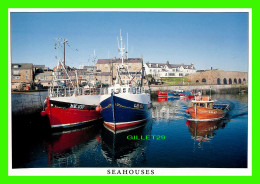 SEAHORSES HARBOUR, NORTHUMBERLAND - PHOTO CAROLINE CLAUGHTON - DIMENSION 11.5 X 17 Cm - - Autres & Non Classés