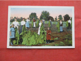 Harvesting Tobacco In - Kentucky >   Ref 6223 - Autres & Non Classés