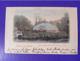 Alte AK Ansichtskarte Postkarte Gruss Aus Berlin Lichterfelde Botanischer Garten Victoria Regia Haus Deutsches Reich Alt - Lichterfelde