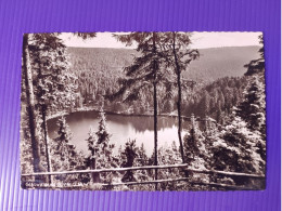 Alte AK Ansichtskarte Postkarte Bad Rippoldsau Schapach Schwarzwald Glaswaldsee Germany Allemagne Deutschland Alt Old Xx - Bad Rippoldsau - Schapbach