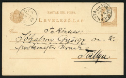 KIRÁLYLEHOTA 1884. Díjjegyes Levlap, Szép Bélyegzéssel Tályára Küldve, Linczényi Lajos Lelkész Sürgeti A Borocskáját.. - Used Stamps