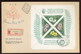 1958. FIP Blokk Ajánlott FDC, érkezési Bélyegzéssel - Used Stamps