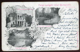 BUDAPEST  VII. Fango Gyógyító Intézet. Aréna út 60. (mai Dózsa György út) 1902 - Ungarn