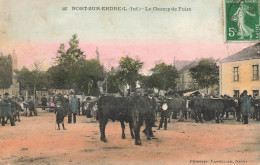 Nort Sur Erdre * Le Champ De Foire * Marché Aux Bestiaux * Villageois - Nort Sur Erdre