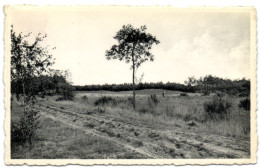 Retie - A.C.W. Vacantiehuis De Linde - Bos En Duin - Retie