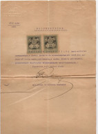 1902. ROMÂNIA,HUNGARY,TIMIȘOARA,CERTIFICATE,2 X 1 K. REVENUE STAMPS - Autres & Non Classés