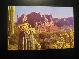 SUPERSTITION Mountain Arizona Apache Trail Saguaro Flower Cactus Postcard USA - Otros & Sin Clasificación