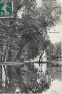 Rocquencourt. Le Lac Et Le Chateau Vu à Travers Le Saule. - Rocquencourt