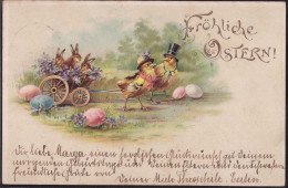 Gest. Ostern Küken 1898 - Ostern