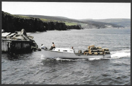 McKenzie Point  Nouvelle Écosse - Pêche Aux Homards 18 Juillet 1974 - Photo Jean Trudel - Éditeur Jocelyn Paquet - Other & Unclassified