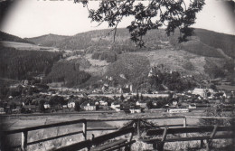 D6609) Sommerfrische FRIESACH In Kärnten - Alte S/W FOTO Karte Carl FRANK & CO Graz - Friesach