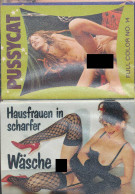 Konvolut Von 2 Stck. Erotik/Porno-Magazinen Sowie 15 Stck. Pornomagazine 10,5x15 Cm - Autres & Non Classés