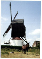 Meulebeke (W. VL.) - Herentmolen - Meulebeke