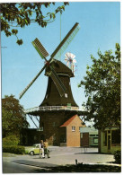 Wittmund - Kappenwindmühle Mit Jalousienflügel Und Windrose - Galerie-Holländer Von 1884 - Wittmund